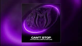 Anton Pallmer & Natune - Can't Stop