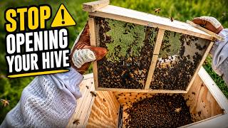 Beekeeping MISTAKES Every Beginner Makes!
