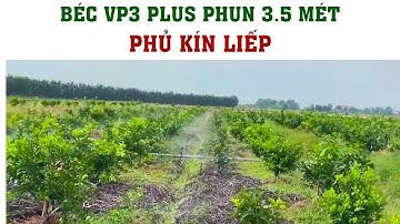 BỐ TRÍ BÉC TƯỚI PHUN MƯA VP3 PLUS 90LIT ĐỂ TƯỚI PHỦ ƯỚT ĐỀU LIẾP | VNPLANT