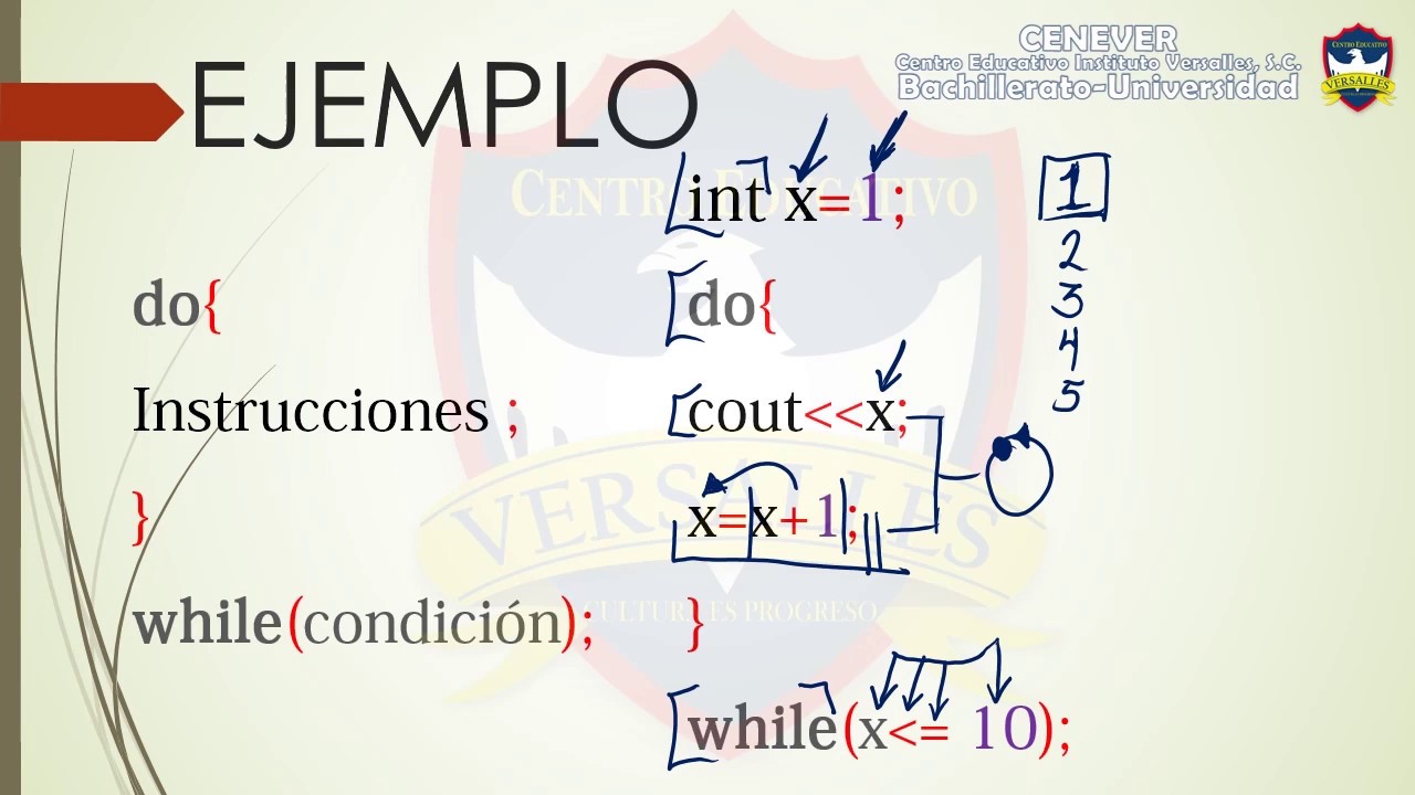 Bucle Do While - YouTube