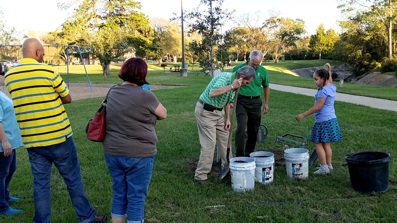 Memorial tree planting YouTube