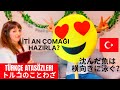 Japon Eşime TÜRKÇE ATASÖZLERİNİ SORDUM :) İti an çomağı hazırla?