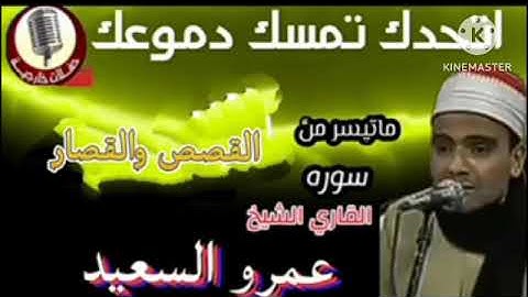 الشيخ عمرو السعيد القارئ بجمهورية مصر العربية ما تيسر من سوره القصص والقصار 🎤🎧 تلاوه تلمس القلوب