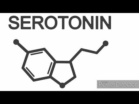 Video: Serotonīna Agonista Tegaserod Atkārtota Reproducēšana Kā Pretvēža Līdzeklis Melanomas Gadījumā: Molekulārie Mehānismi Un Klīniskā Ietekme