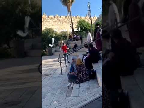 فلسطين القدس فلسطين48