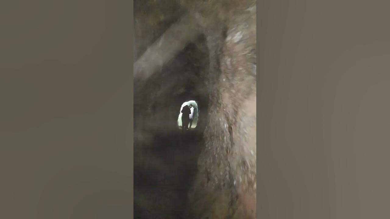 bats pee and bat poop 💩 in a mineshaft. YouTube