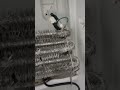 #soportes #repara #tecnologi #electronica #refri #tv #canal #smartphone th