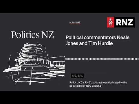 Political commentators Neale Jones and Tim Hurdle | Politics NZ