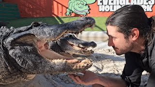 Meeting Godzilla & Snoopy: Every Rescue Alligator at Everglades Holiday Park!