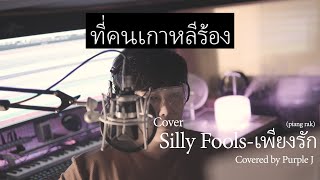 [COVER] Silly Fools-เพียงรัก(Piang Rak) Covered by Purple J (Korean Singer Ver.)