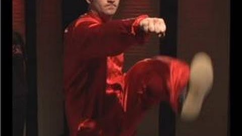 Kung Fu : Tan Tui Left Heel Kick Reverse Punch