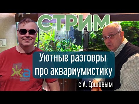 Видео: Уютные разговоры про аквариумистику с Александром Ершовым.