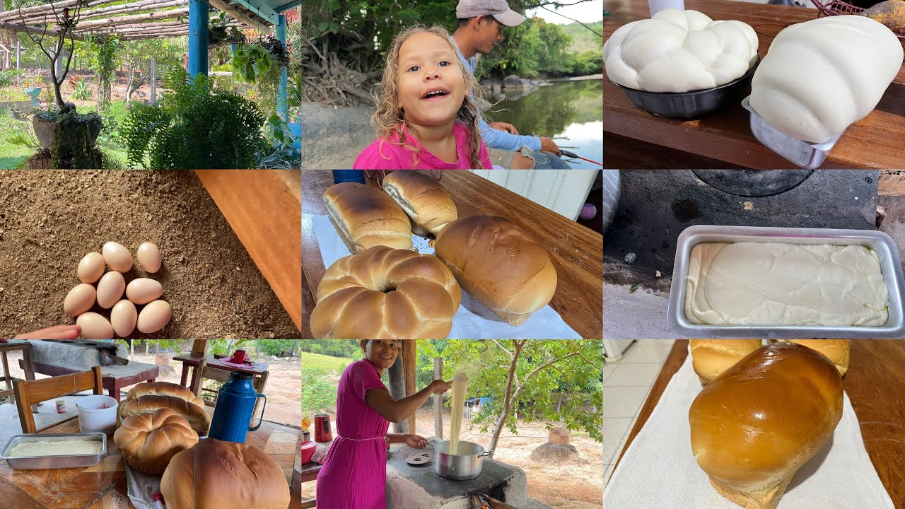Com faço meu REQUEIJÃO CASEIRO / FIZ PÃO COM FERMENTO NATURAL DO ZERO