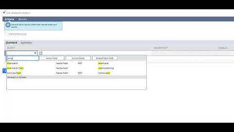 NetSuite Field Finder Demo