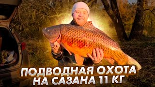 🐟Подводная охота ,2023 ,4к Сазан на 11 кг.🙀 by Илья Ланкин 2,998 views 7 months ago 7 minutes, 45 seconds