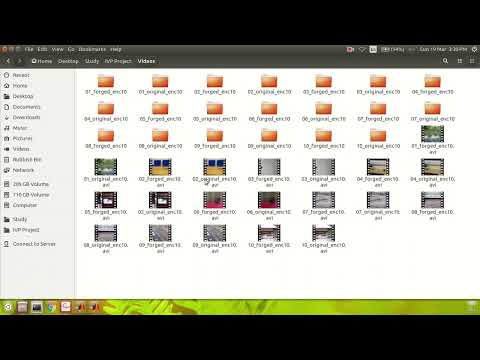 Object-based Video Forgery Detection Using Matlab