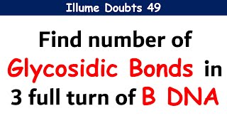 illume doubts 49 | Find the number of Glycosidic bonds in 3 full turns of B DNA | Base pairs