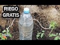 RIEGO por goteo CASERO más BARATO y rápido de hacer Con Una Botella || La Huertina De Toni