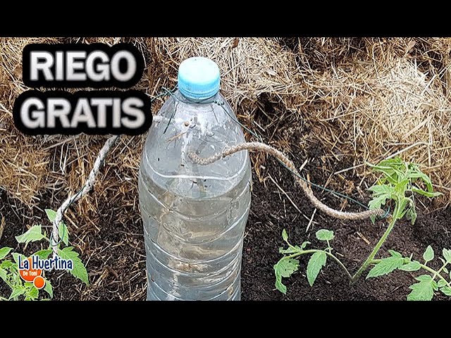 RIEGO por goteo CASERO más BARATO y rápido de hacer Con Una Botella || La  Huertina De Toni - YouTube