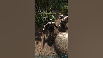 The Secrets Of The Mesopithecus Ark #arksurvivalevolved #dinosaurs #shorts