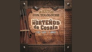 Mi Negra Bonita (Tololoche)