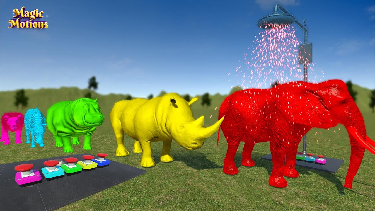 Color Painting Animals Elephant Rhinoceros hippopotamus Zebra and Lion Taking Shower In Magic Motion