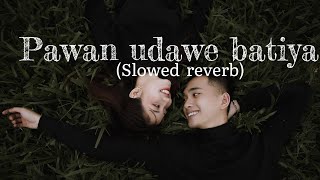 Pawan Udawe Batiya - Kanha Thumri Lofi Instrumental |( Slowed +reverb) |Tribute to Rekha Bhardwaj screenshot 4