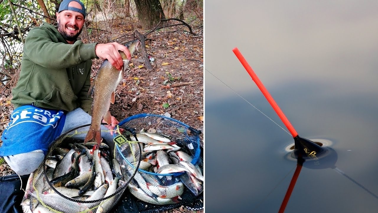 РЕЧЕН РИБОЛОВ на КАРАКУДИ и МРЕНИ с ПЛУВКА - ГЛАВАТА на КЕПА се ПРЪСНА от РИБА / Bolognese Fishing