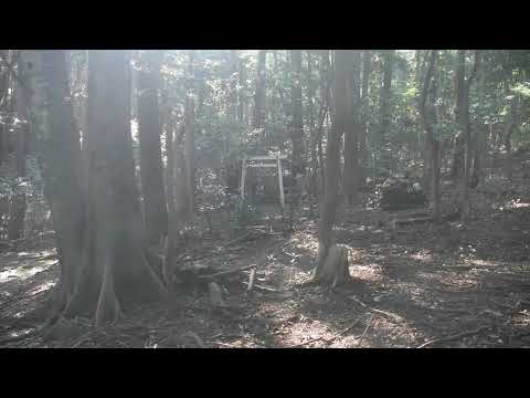 乳宮（つちのみや）三重県玉城町積良