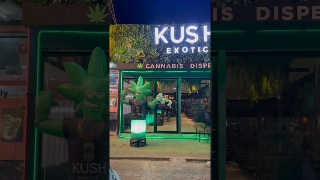 Cannabis Shop: KUSH Exotic - Green Man Inviting Koh Samui Island 