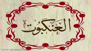 الشيخ سعيد الخطيب - سورة العنكبوت