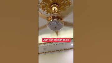 Quạt Trần Vàng 5 Cánh 1479k - Miễn Phí Ship Họa Tiết Đuôi Công Có Chế Độ Đảo Chiều Dùng Cho Cả Năm