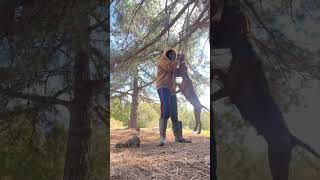 Working My Girl Daphney Dont Mind Ha Spot It Was Cleaned After The Video