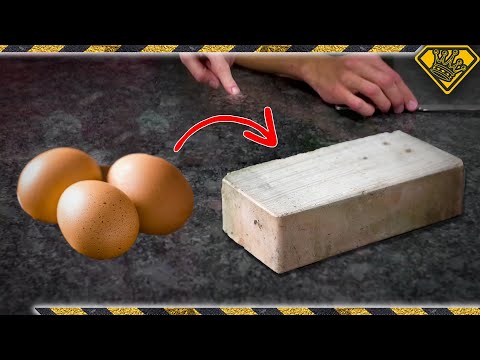 Can Eggshells be Used to Build a HOUSE?