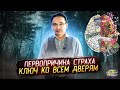 ПРИЧИНА СТРАХА / МАТРИЦА СТРАДАНИЯ / Ключ ко всем дверям...