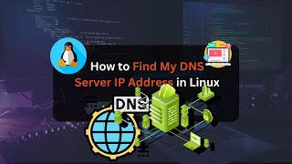 Celebrity How to Check DNS Server IP Address in Linux Profile