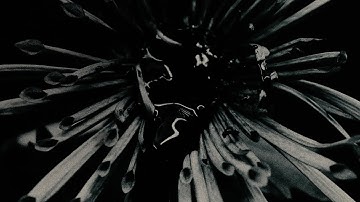 Analog Four & Analog Rytm MKII. Transformed.