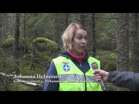 Video: Top 5 tapaa pitää vanhempi koira henkisesti teräväksi