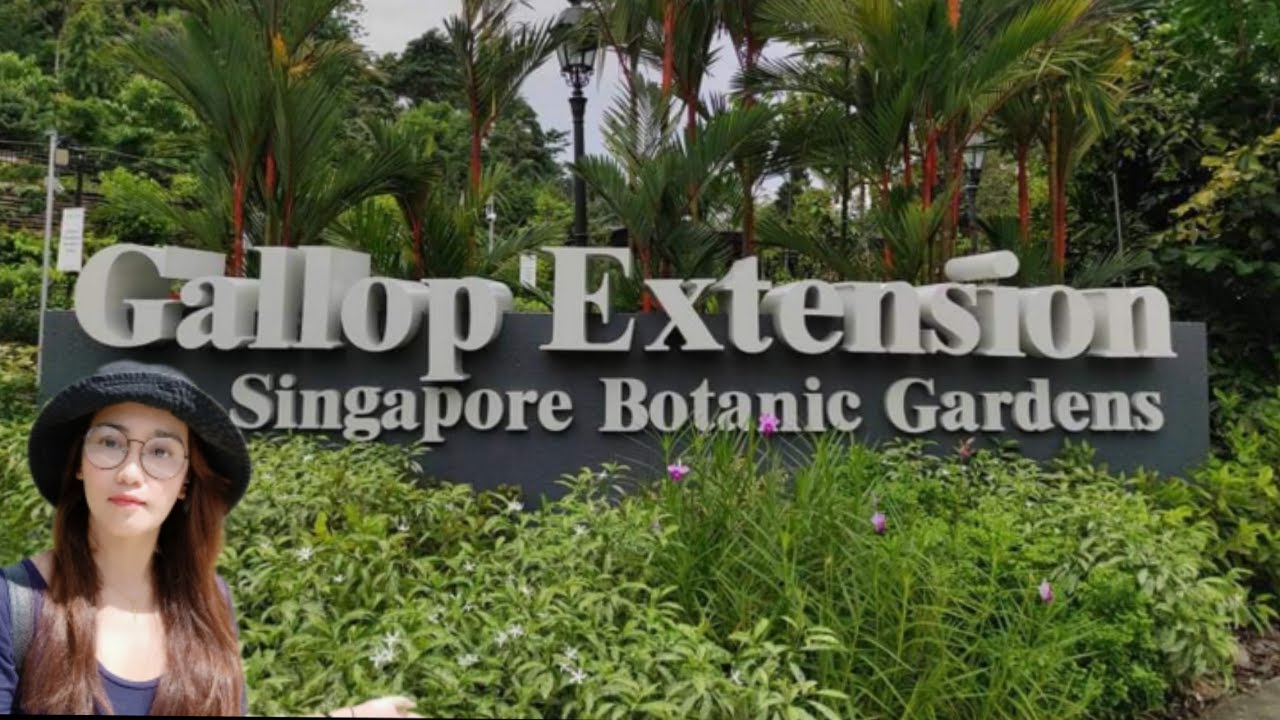 GALLOP EXTENSION @ SINGAPORE BOTANIC GARDENS||NEWLY ATTRACTION IN SG