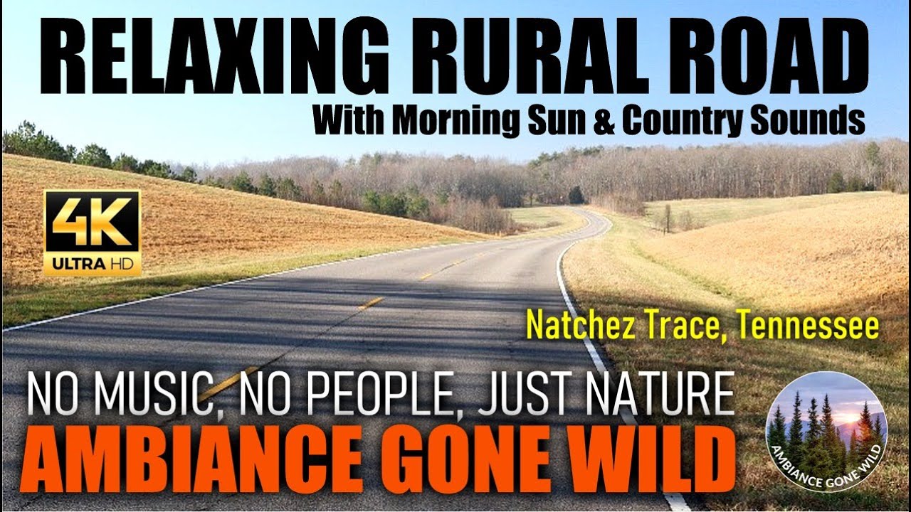 Relaxing Rural Road With Morning Sun & Country Sounds, Natchez Trace ,  Tennessee