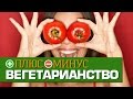 Плюсы и Минусы ВЕГЕТАРИАНСТВА