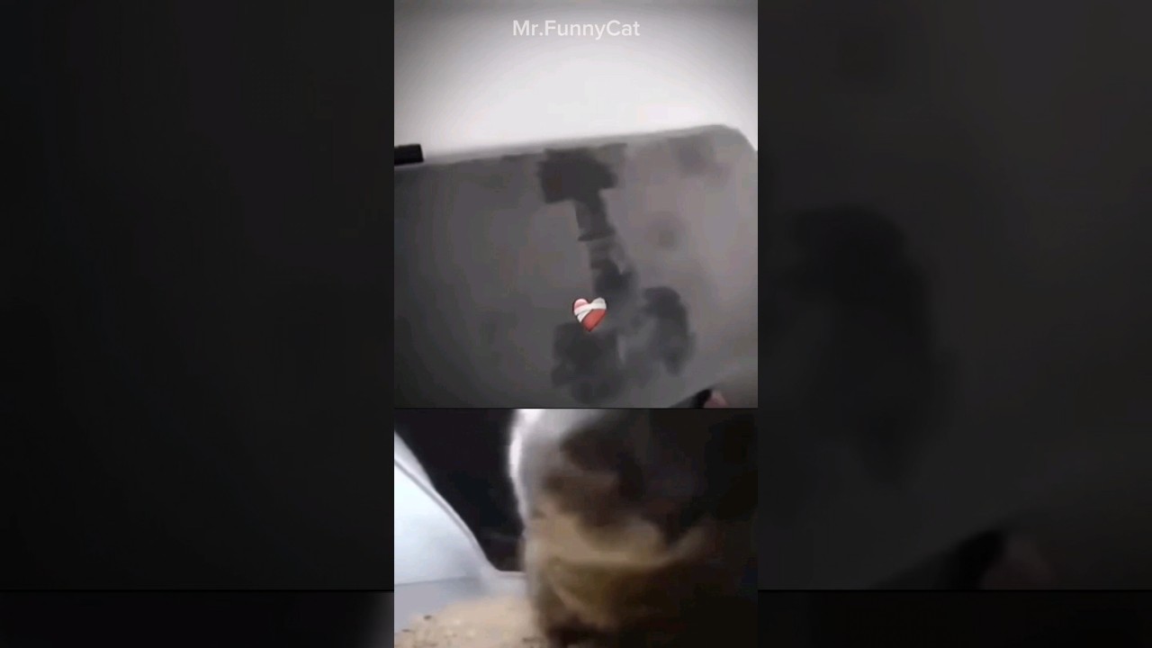 what is bro doing??🤦🗿 