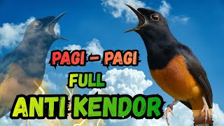 Download Lagu 🔥PANCINGAN MURAI BATU GACOR AMPUH JADIKAN MURAI BATU MACET AGAR NYAUT BUNYI MP3