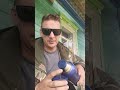 Alexander Drоgalev в прямом эфире!