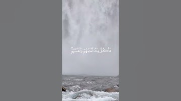 ما تيسر من القران الكريم @أجملتلاواتالقرآنالكريم-ض8ظ