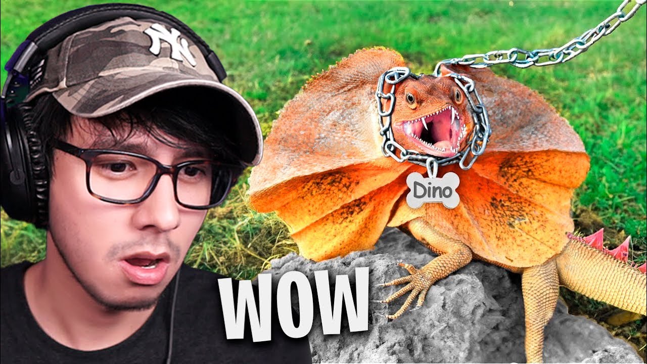 Duxo Reacciona a Tengo un Dinosaurio de Mascota