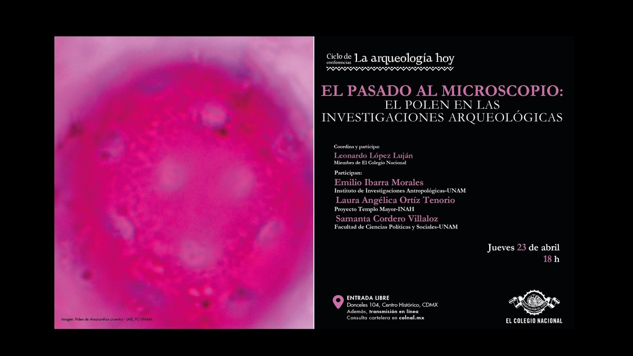 El pasado al microscopio: el polen en las investigaciones arqueológicas