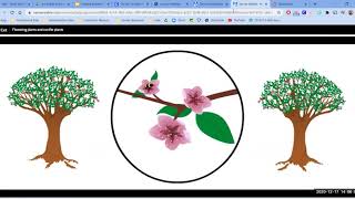Savvas Chapter 3 Lesson 4 Part 2:  Flowering plants