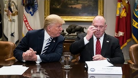 Trump Appoints Tom Homan as Border Czar: What It Means for Immigration