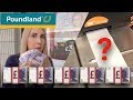 SPENDING £100 IN POUNDLAND CHALLENGE | 2018